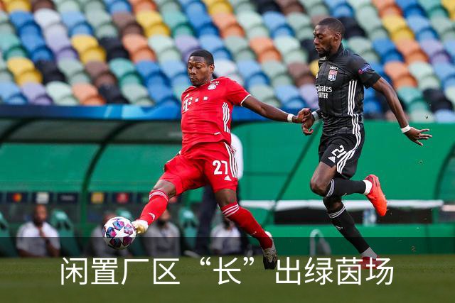 闲置厂区“长”出绿茵场